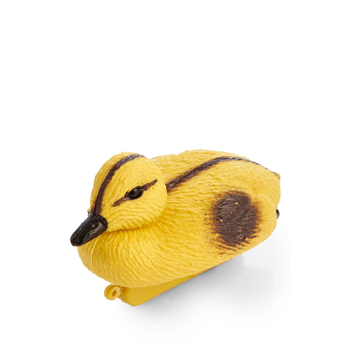 Swell Duckling