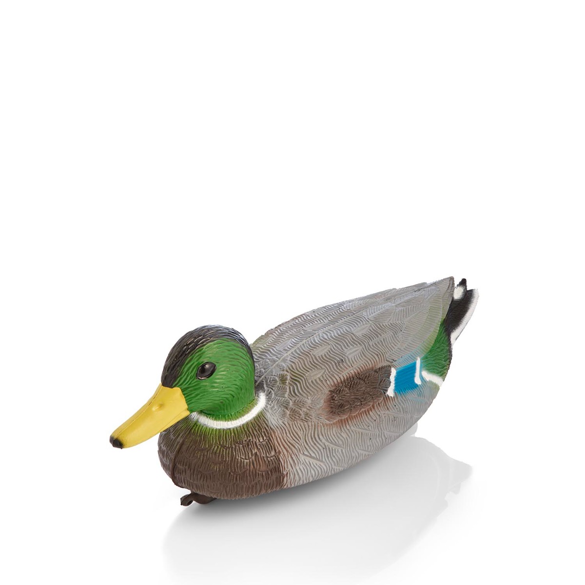 Swell Mallard Male Duck