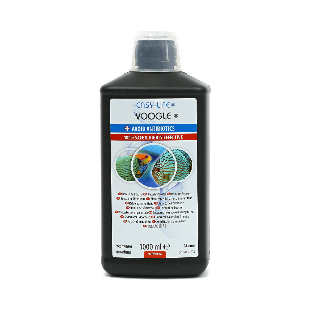 Easy Life Voogle