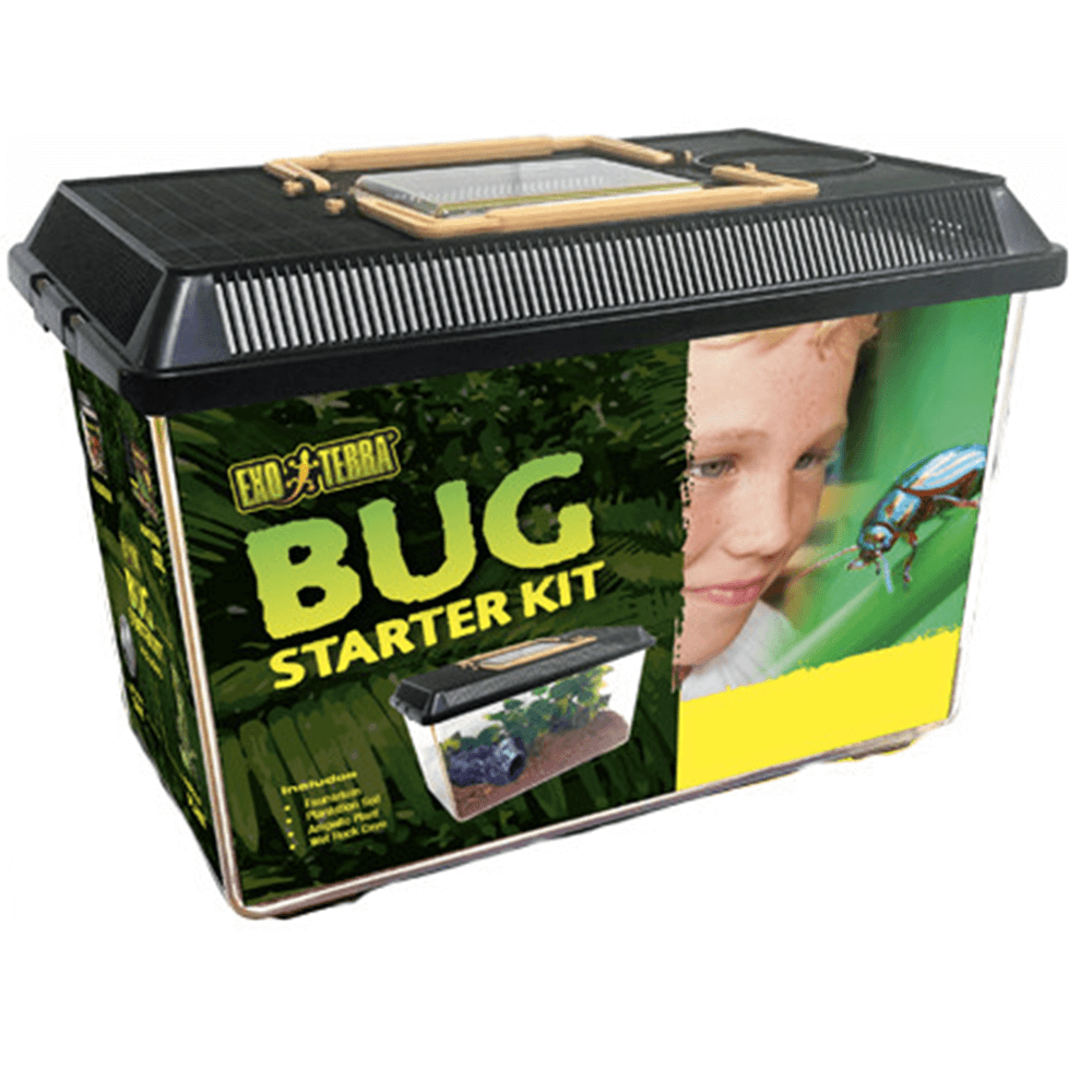 Exo Terra Bug Starter Kit - 39.5 x 18 x 18.5