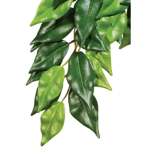 Exo Terra Ficus (Silk)