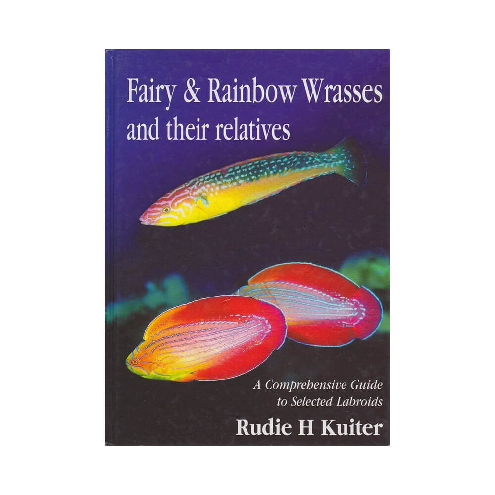 TMC Fairy and Rainbow Wrasses: A Comprehensive Guide to Selected Labroids