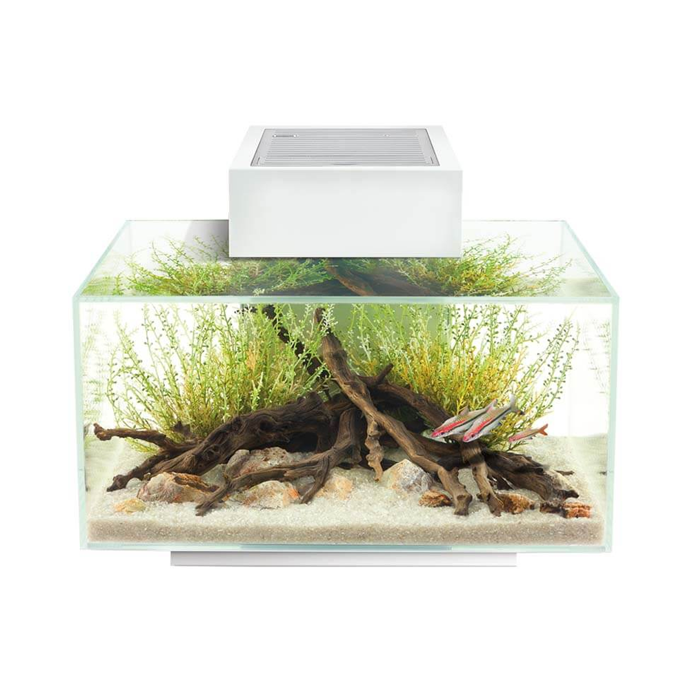 Fluval Edge 23L White Aquarium - 43cm