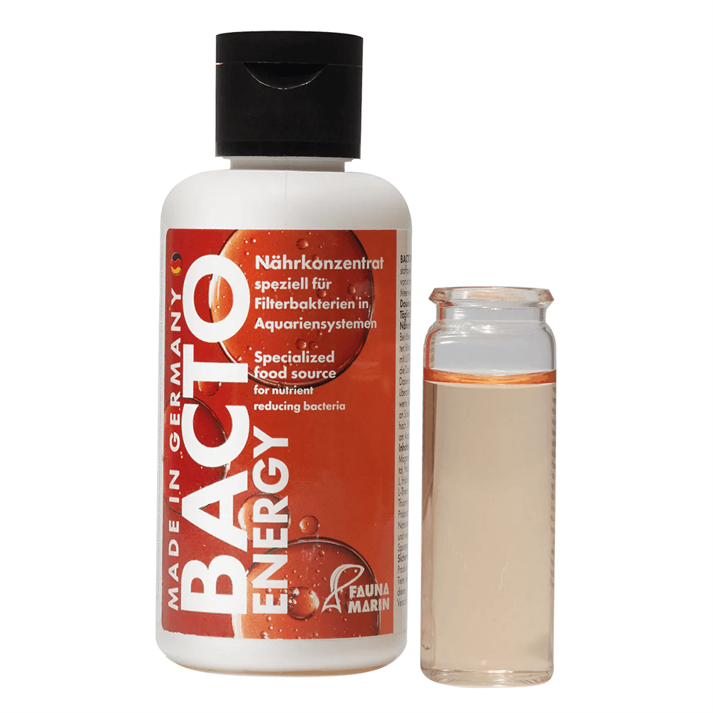 Fauna Marin Bacteria Feed Bacto Energy