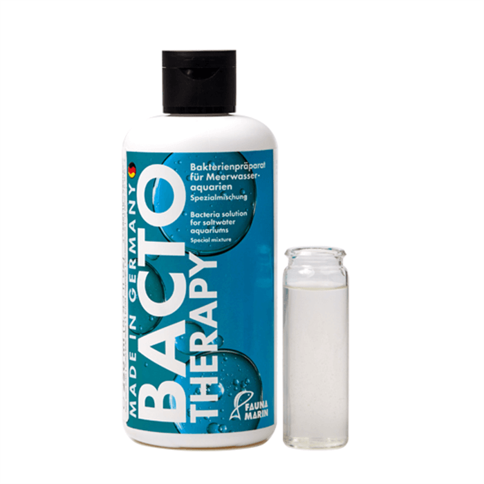 Fauna Marin Bacteria Reef Therapy