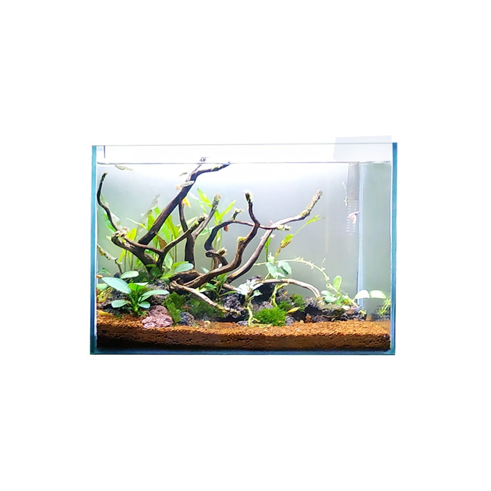 Swell Aqua Oasis Aquarium 30cm -10.8L
