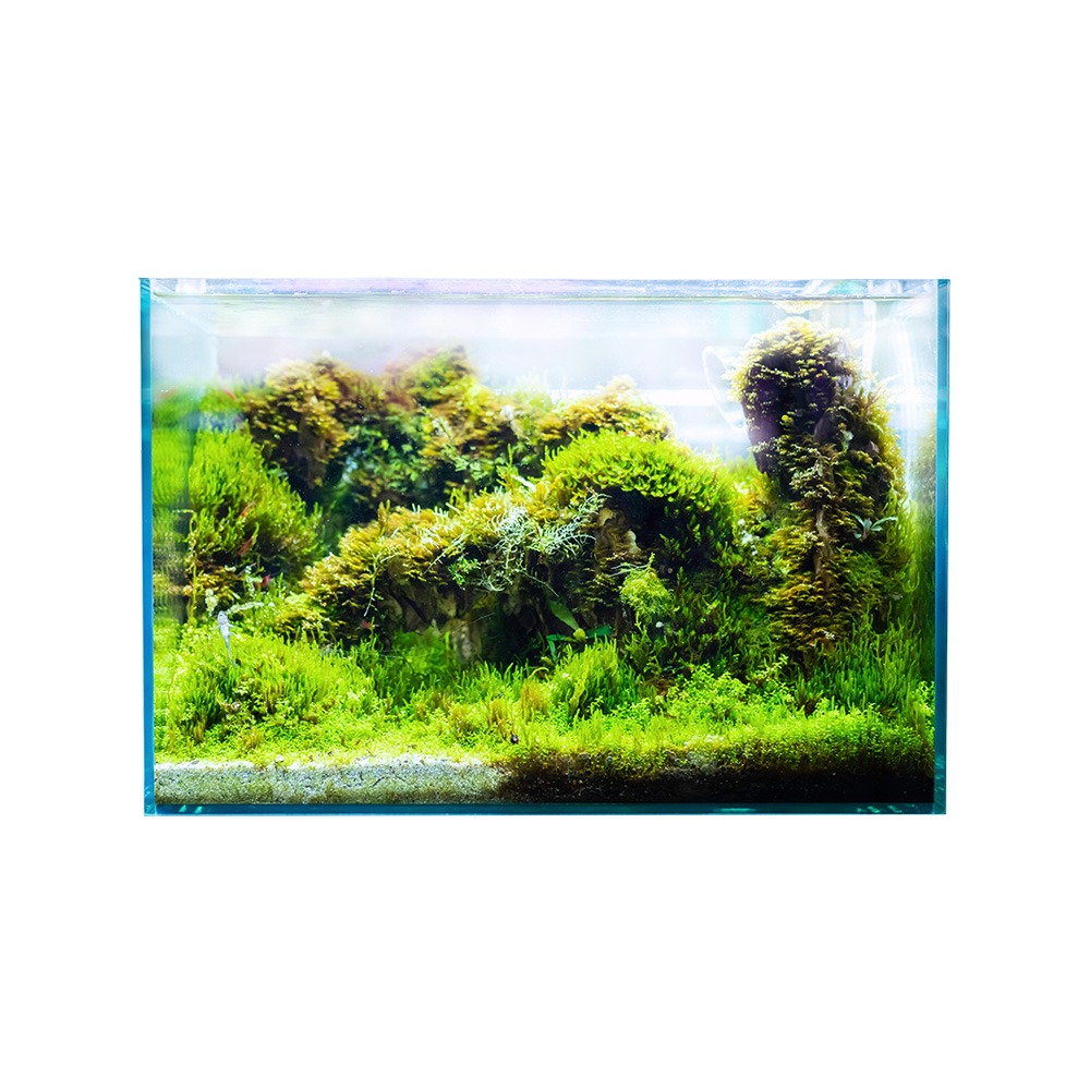 Swell Aqua Oasis Aquarium 35cm - 17L