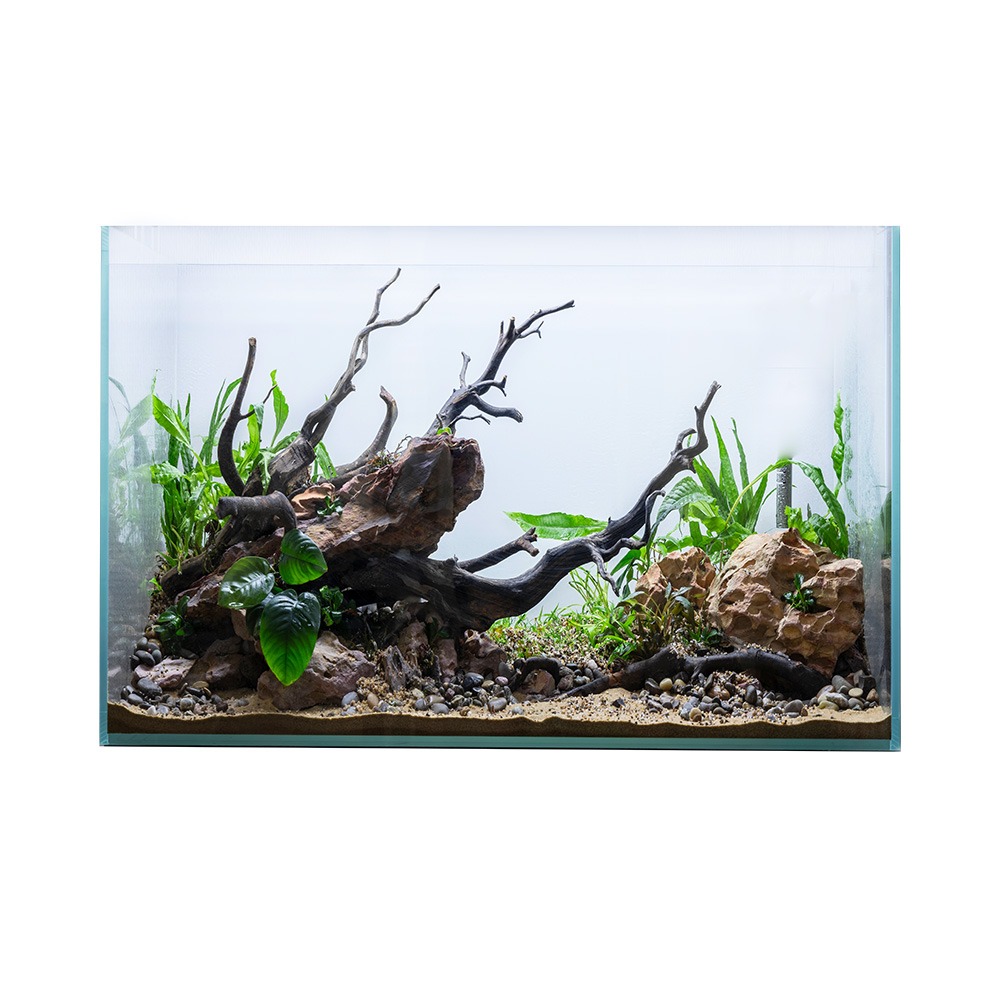 Swell Aqua Oasis Aquarium 40cm - 24L
