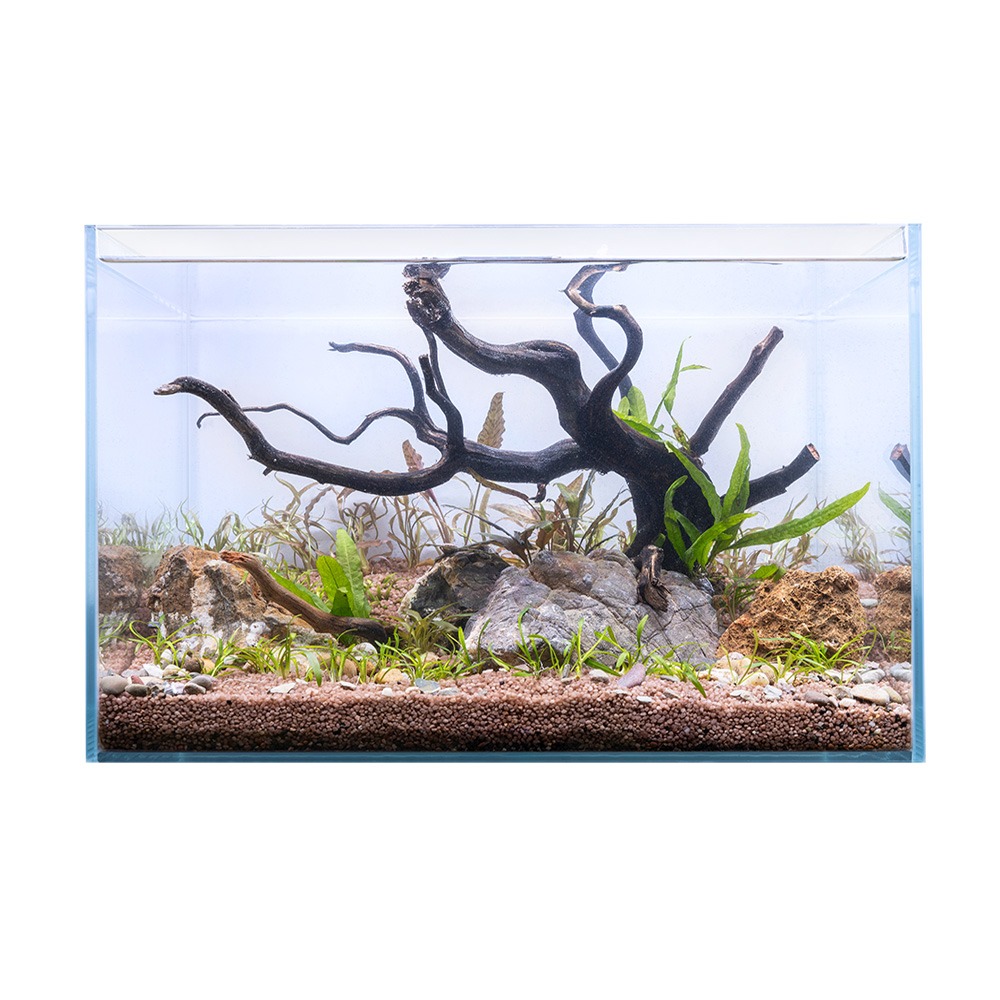 Swell Aqua Oasis Aquarium 50cm - 40L