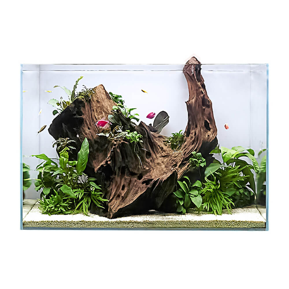 Swell Aqua Oasis Aquarium 60cm - 63L