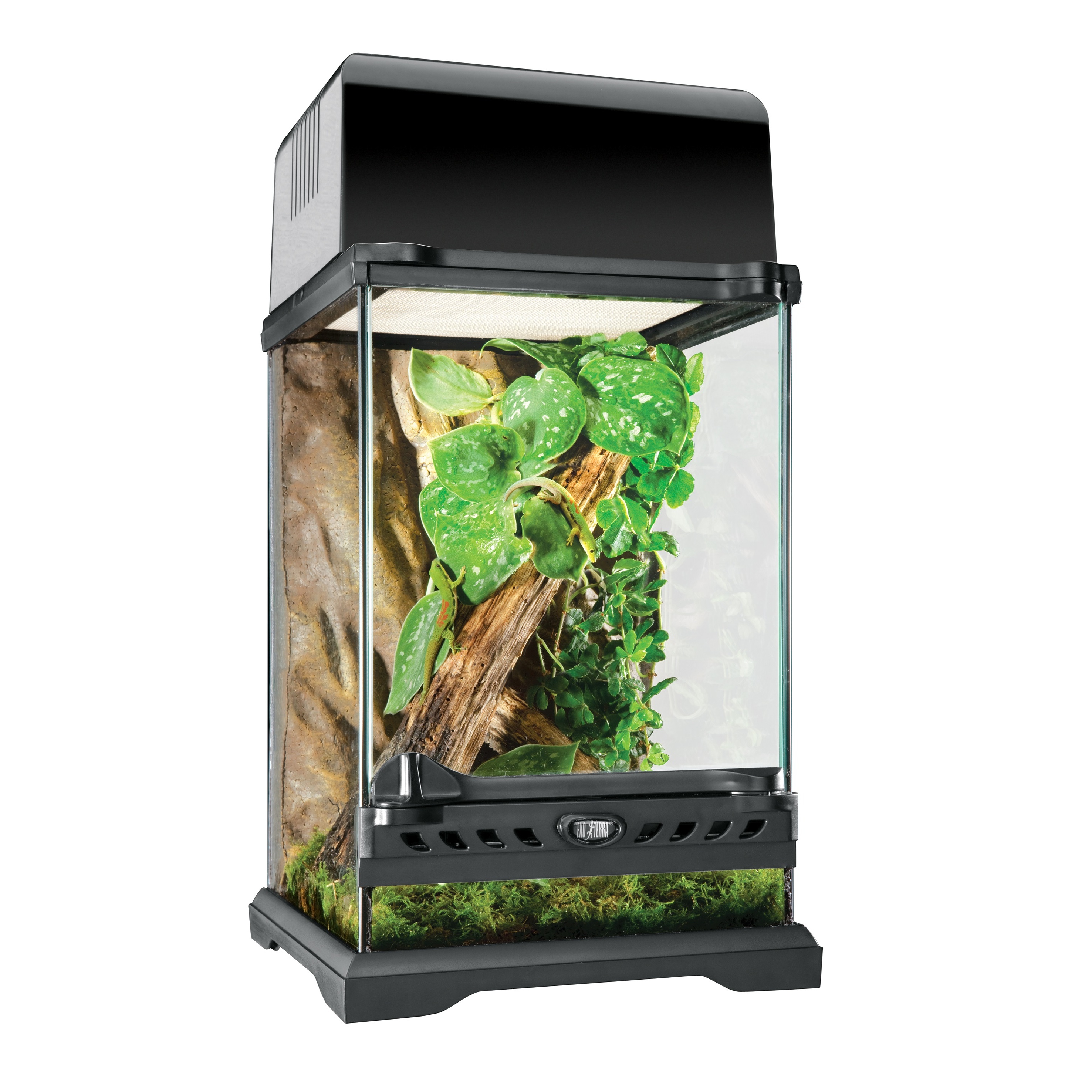 Exo Terra Glass Terrarium - 20 x 20 x 30cm
