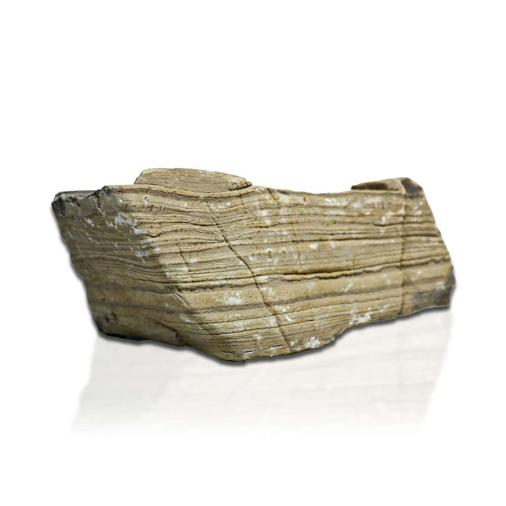 Swell Aquarium Gobi Rock