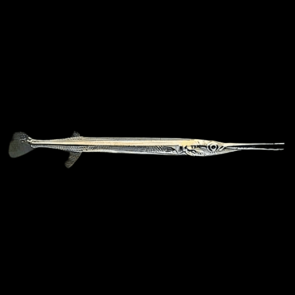 Green Needle Pike Potamorrhapis Guianensis 10cm