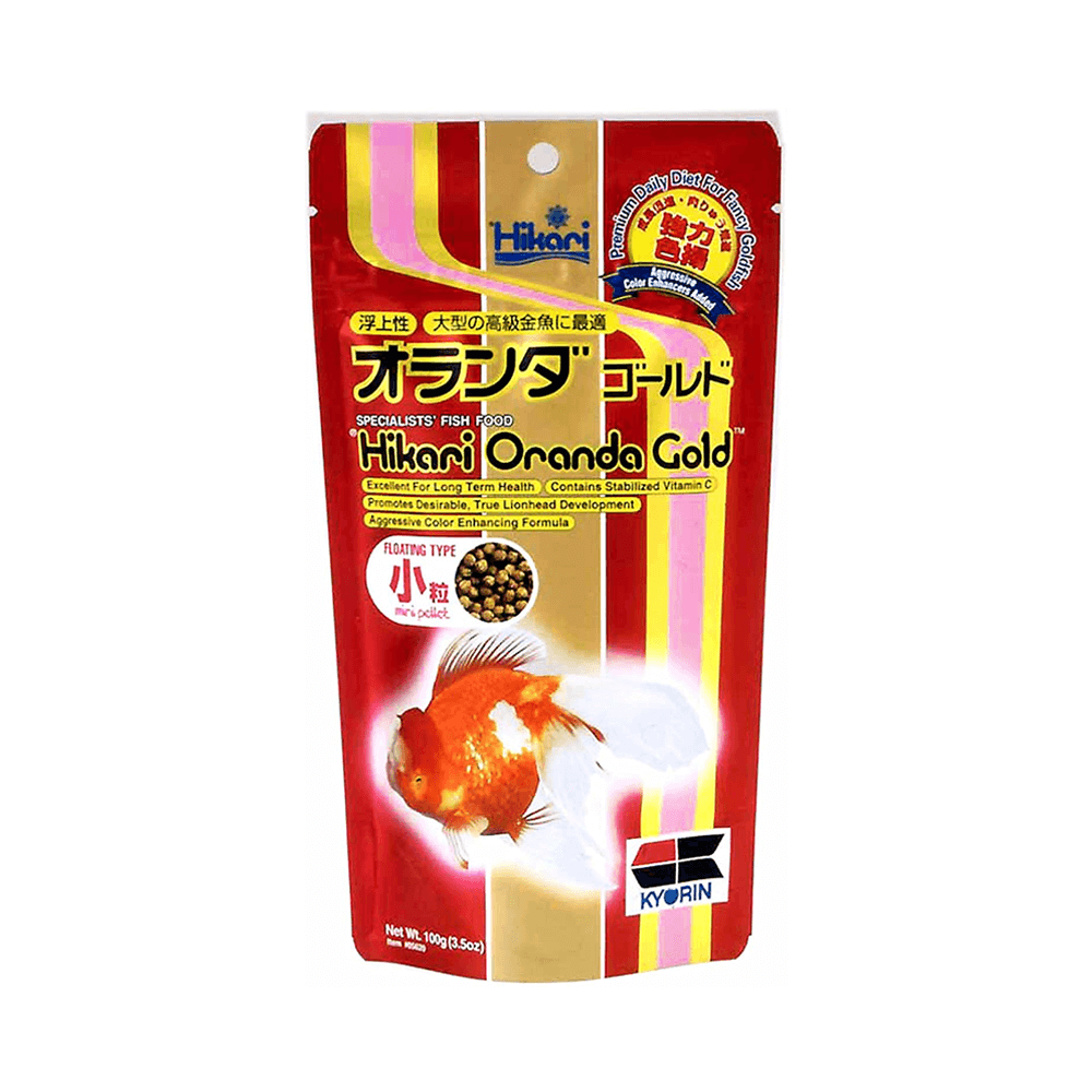 Hikari Oranda Gold Mini