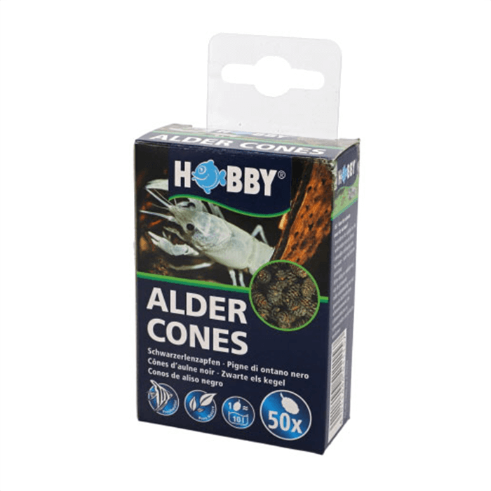 Hobby Alder Cones