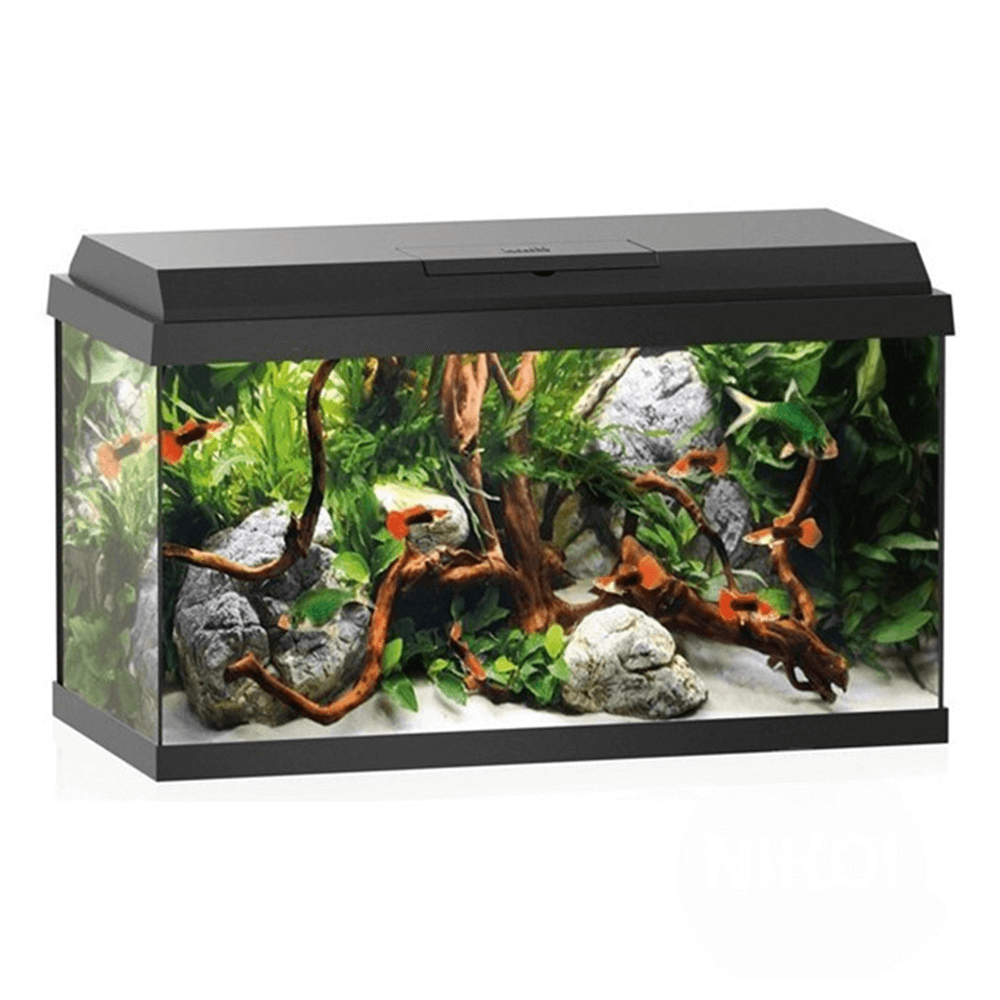 Juwel Primo 70 2.0 61cm Aquarium - 70L