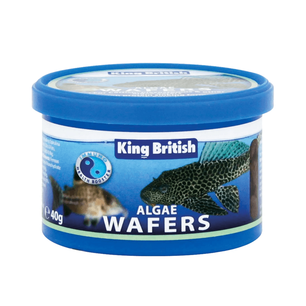 King British Algae Wafers