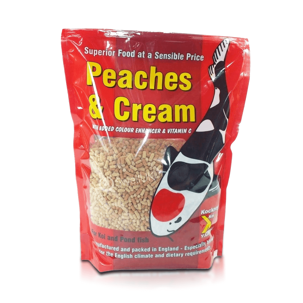 Kockney Koi Peaches and Cream