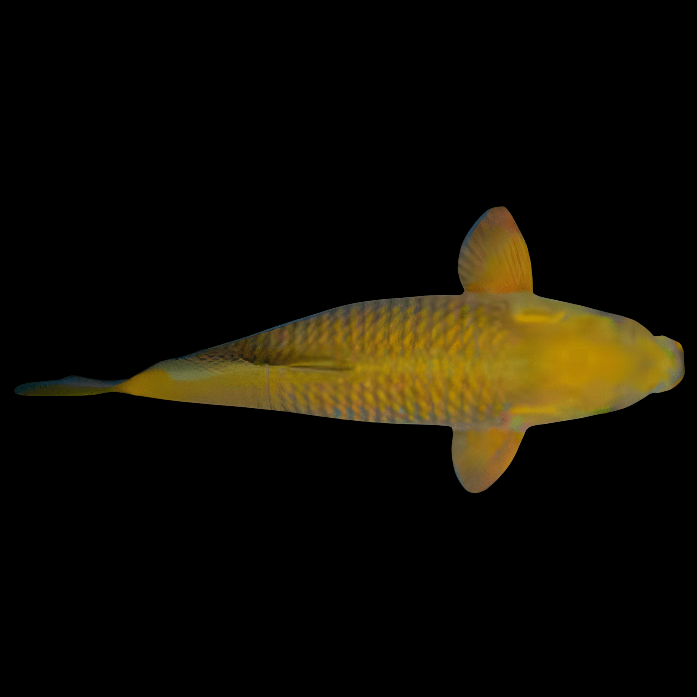 <em>Images for illustration purposes only. Exact colours, patterns, and size may vary between individuals.</em>