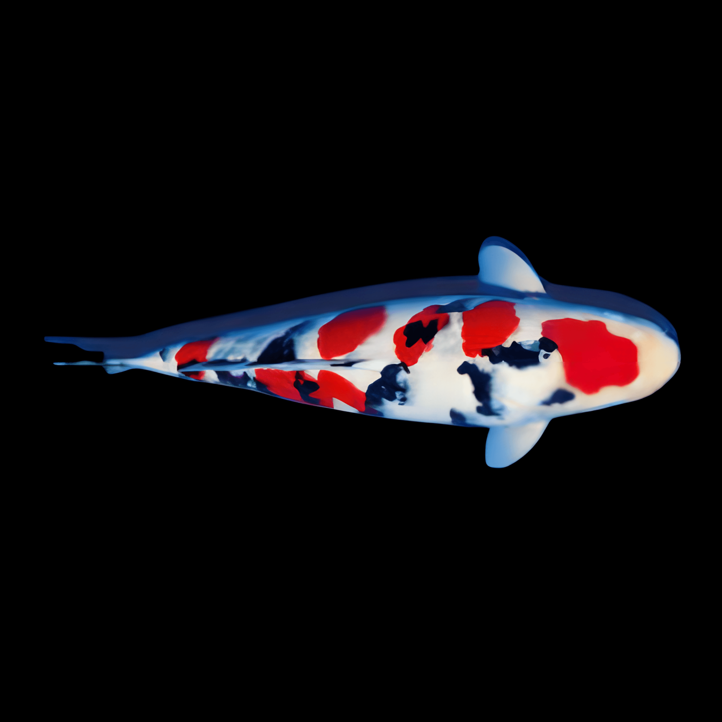 <em>Images for illustration purposes only. Exact colours, patterns, and size may vary between individuals.</em>