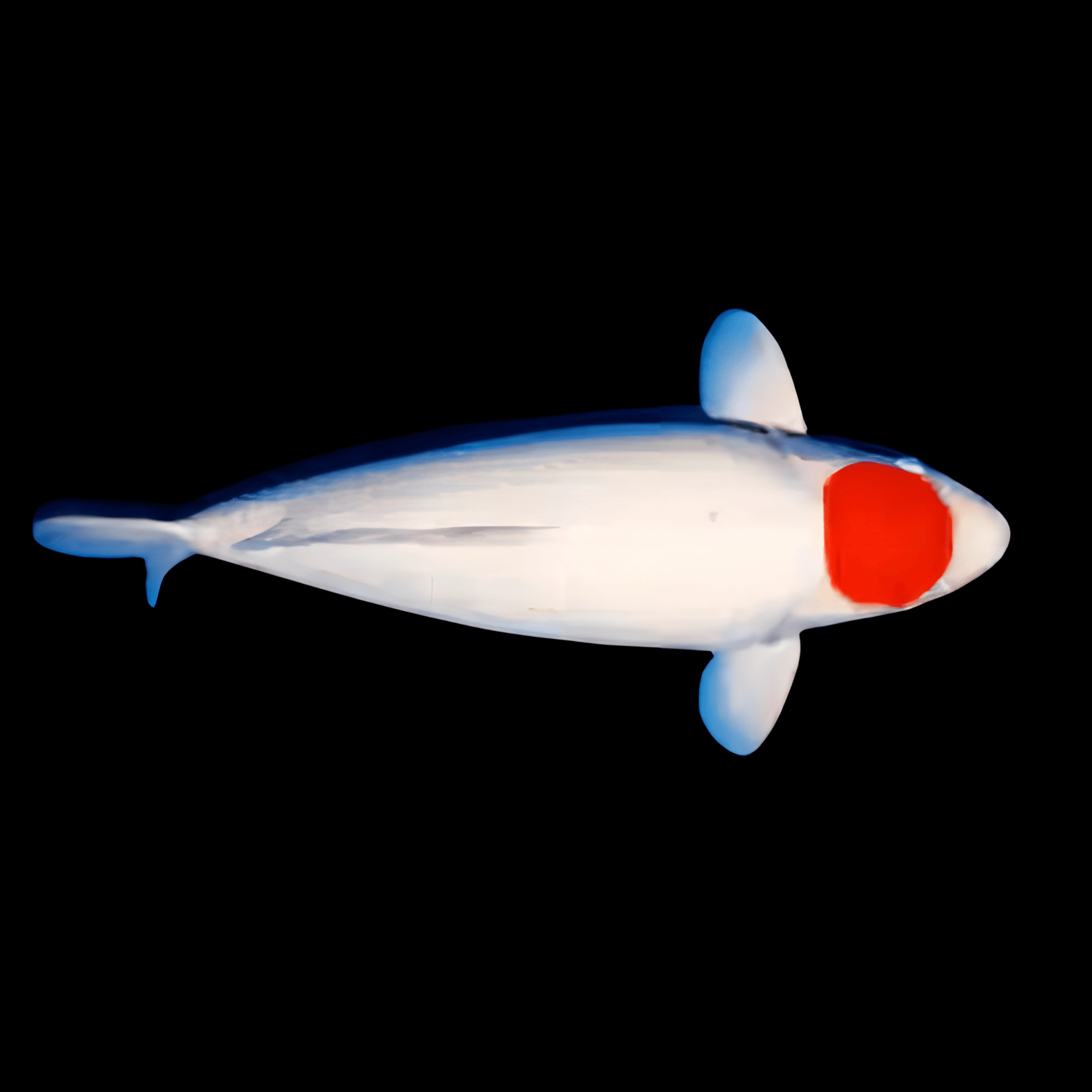 <em>Images for illustration purposes only. Exact colours, patterns, and size may vary between individuals.</em>