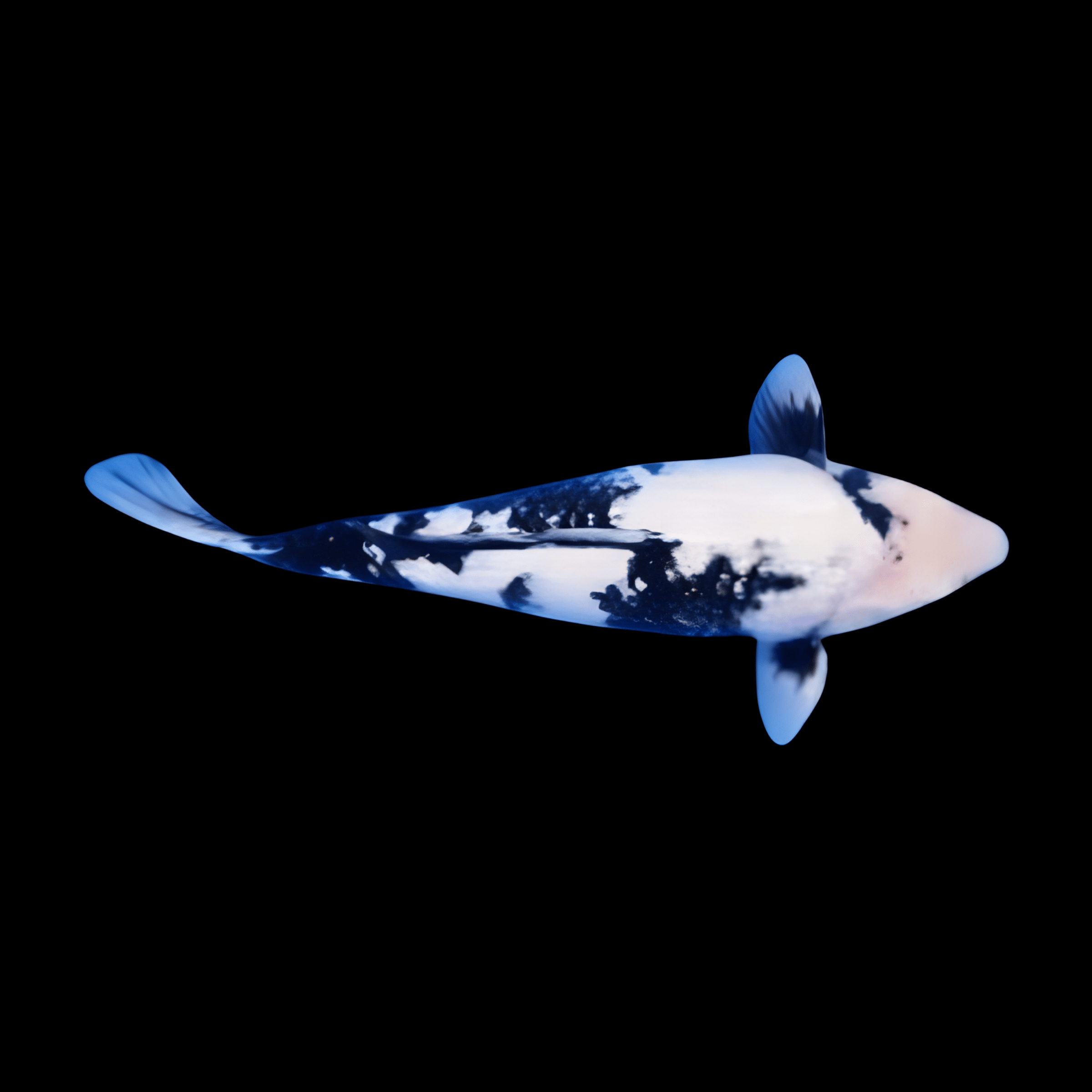 <em>Images for illustration purposes only. Exact colours, patterns, and size may vary between individuals.</em>