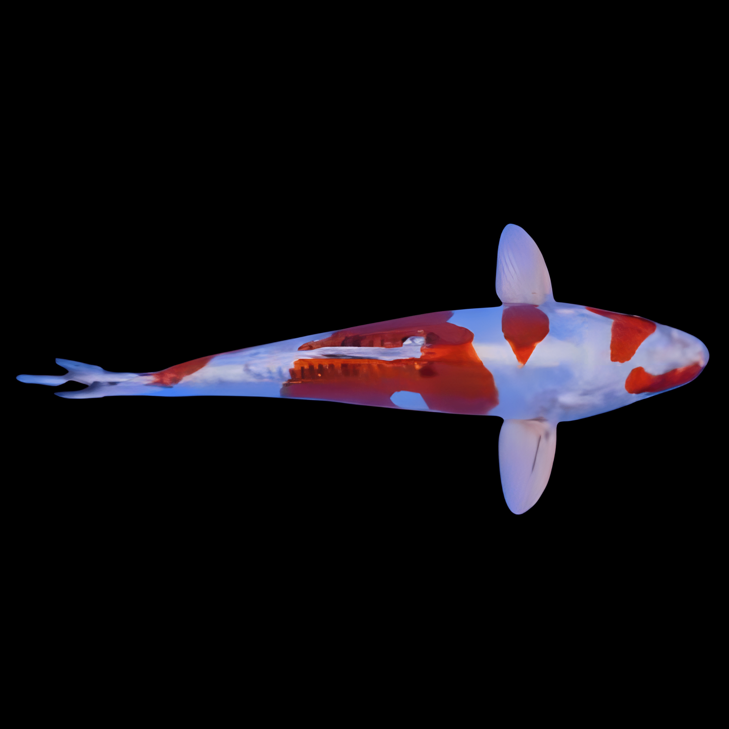 <em>Images for illustration purposes only. Exact colours, patterns, and size may vary between individuals.</em>