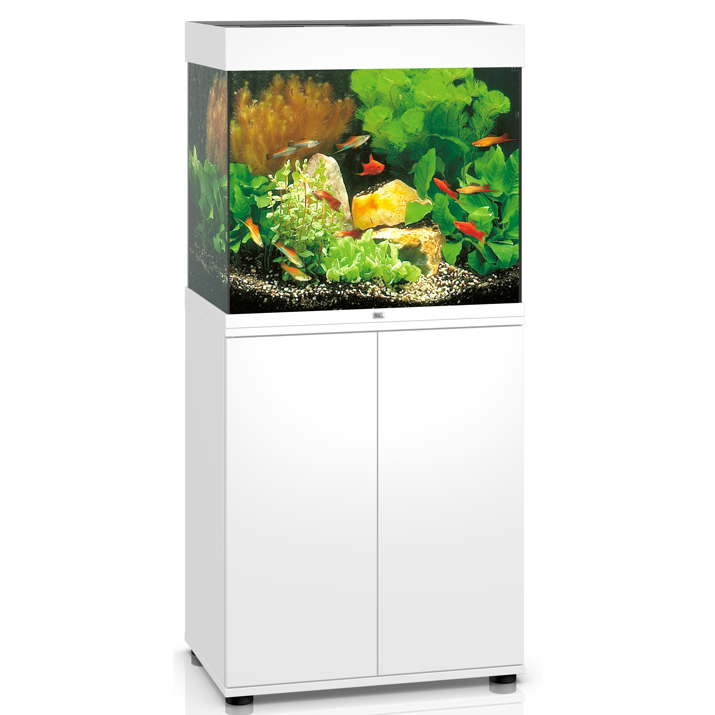 Juwel Lido 120 61cm Aquarium & White Cabinet - 120L