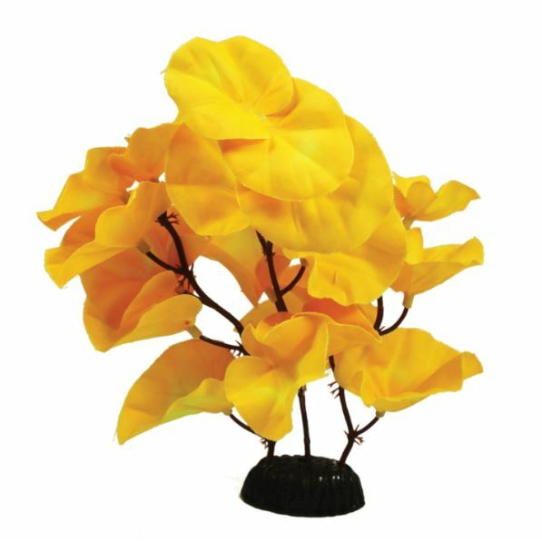 Hugo Kamishi Lily Yellow