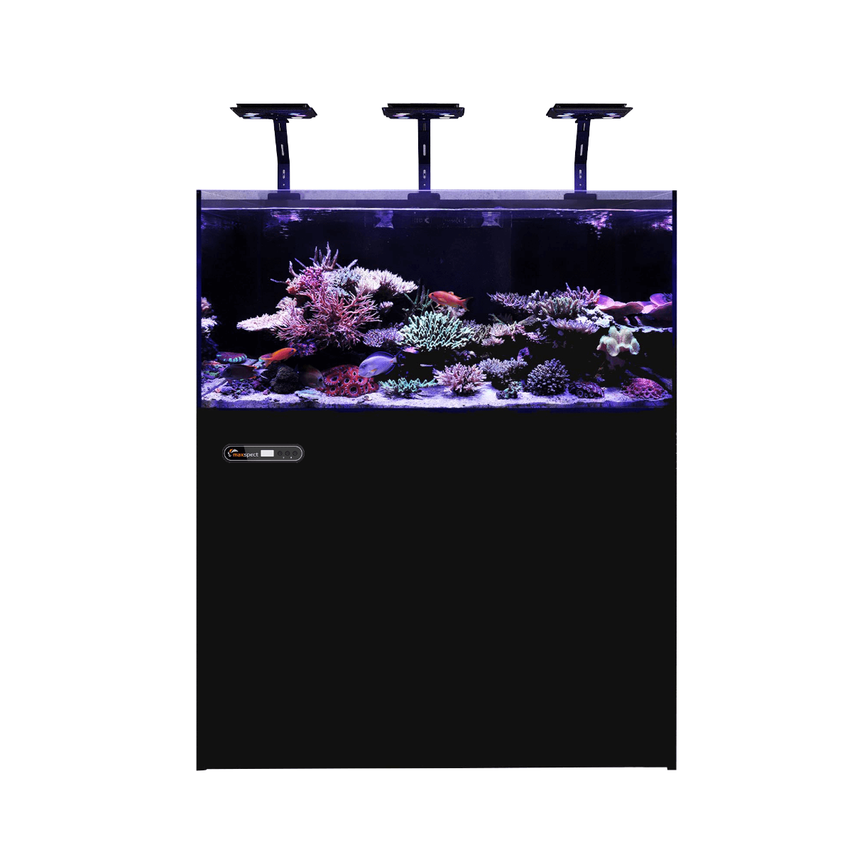 Maxspect Lagoon Smart Marine Aquarium LS-120 303L - 120cm