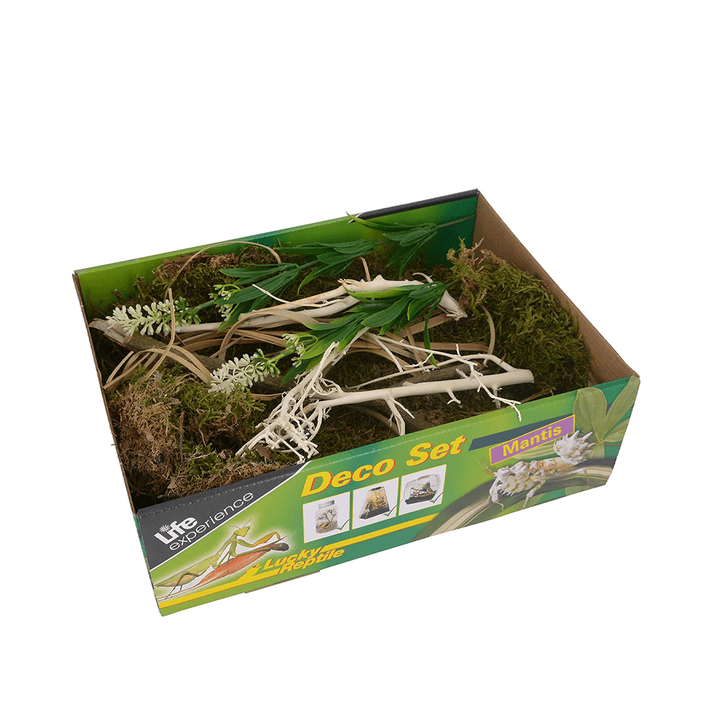 Lucky Reptile Life Experience Deco Set Mantis