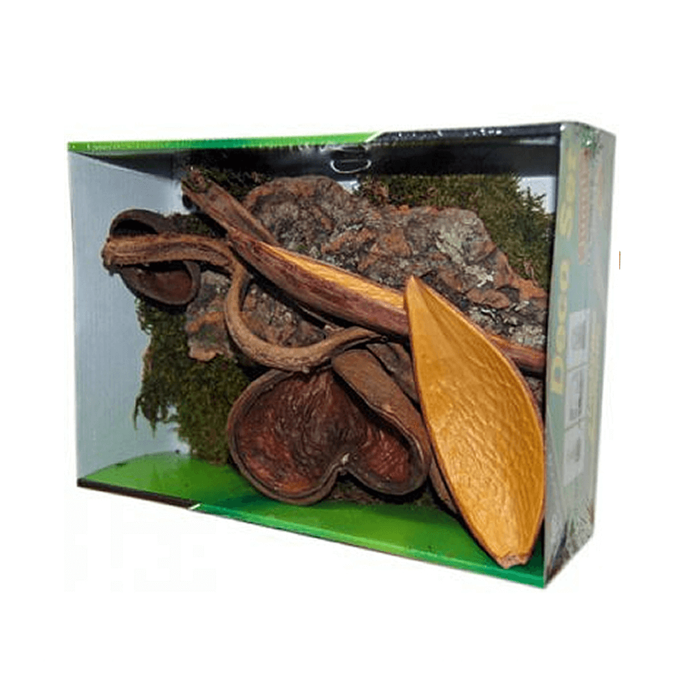 Lucky Reptile Life Experience Decor Jungle