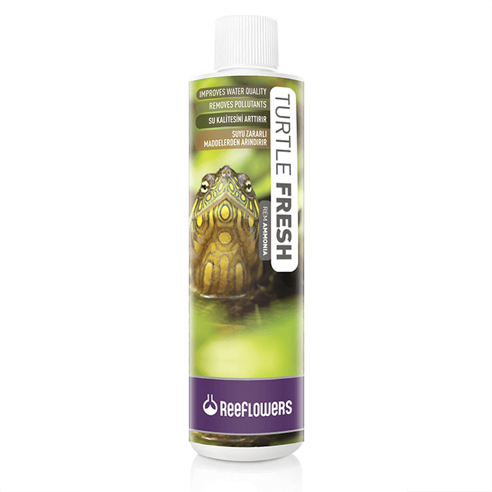 Reeflowers Turtle Fresh Remammonia