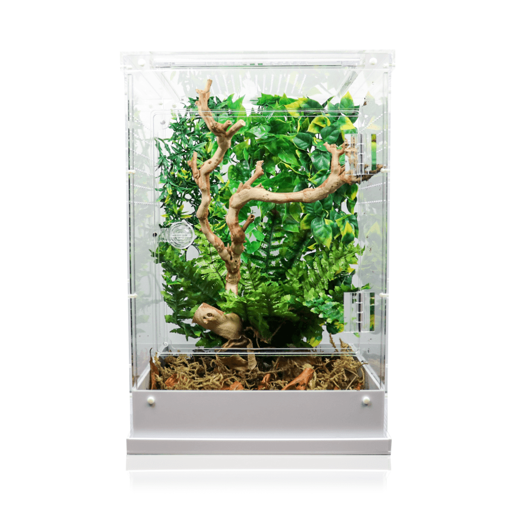Swell Reptiles Acrylic Terrarium - 30cm x 30cm x 45cm