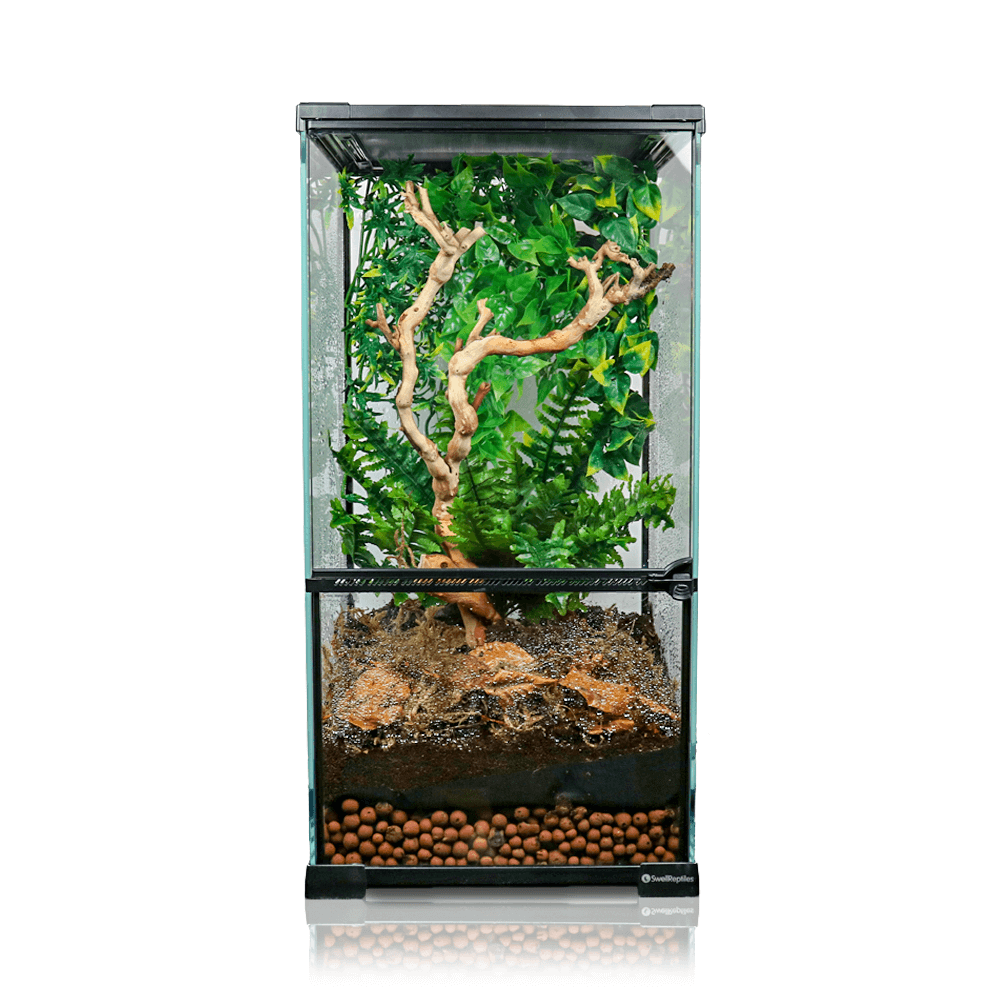 Swell Paludarium - 30 x 30 x 60cm