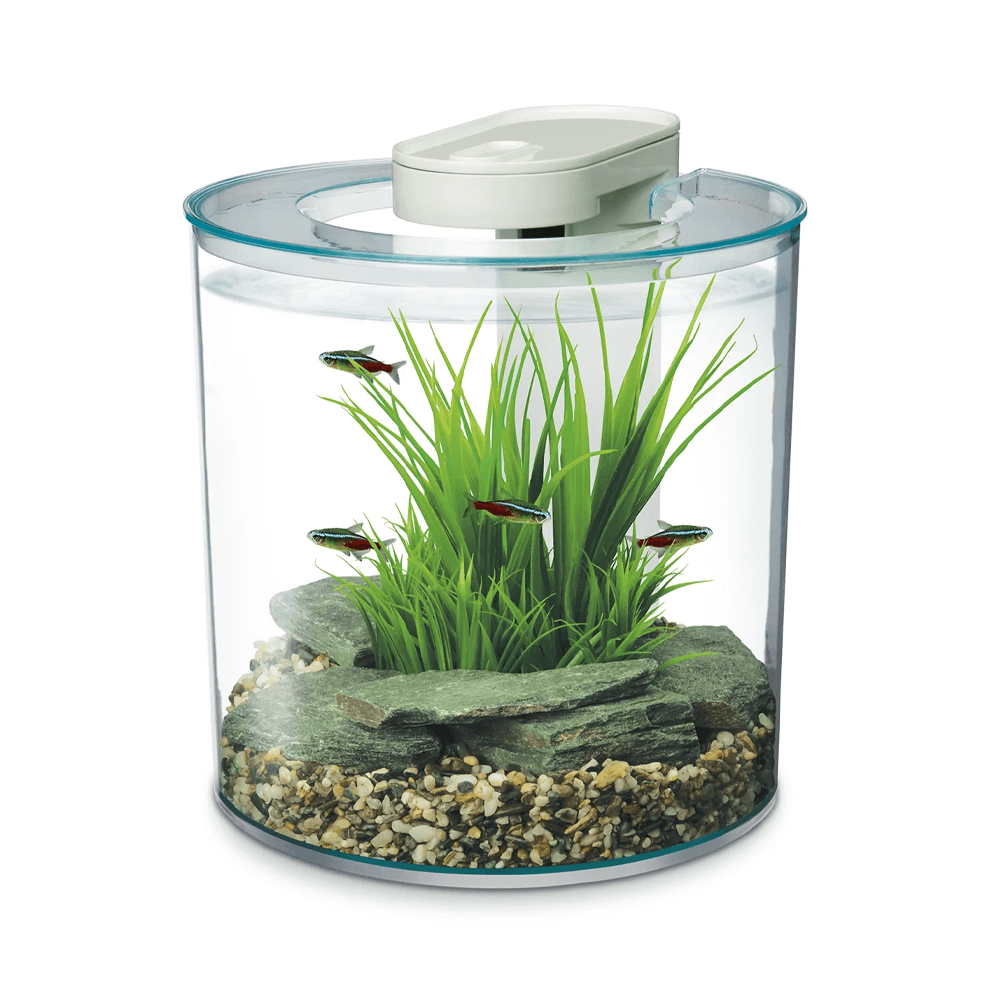 Marina 360° 10L Aquarium - 25.4cm
