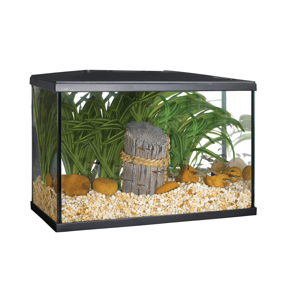 Marina Lux 41.2cm LED Aquarium Kit - 19L
