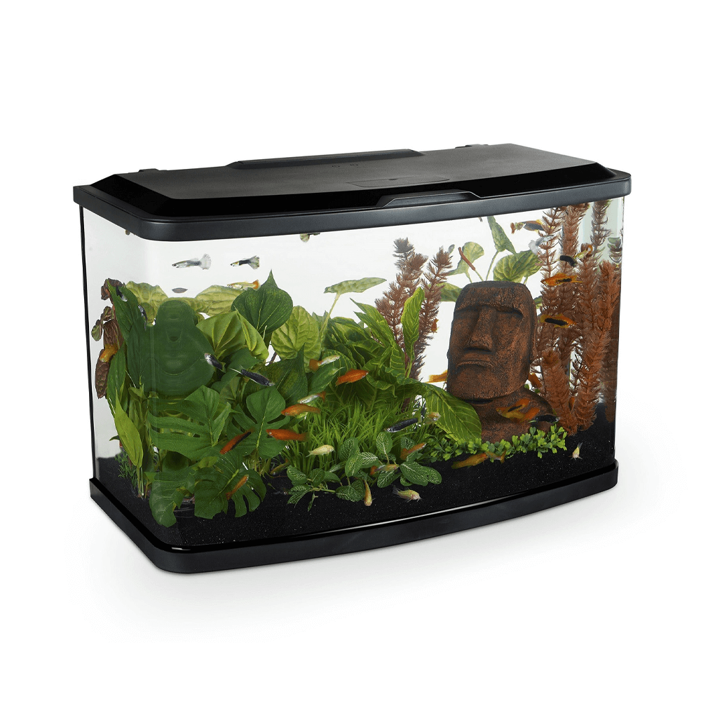 Marina Vue 60 LED Aquarium Set - 60cm, 60L