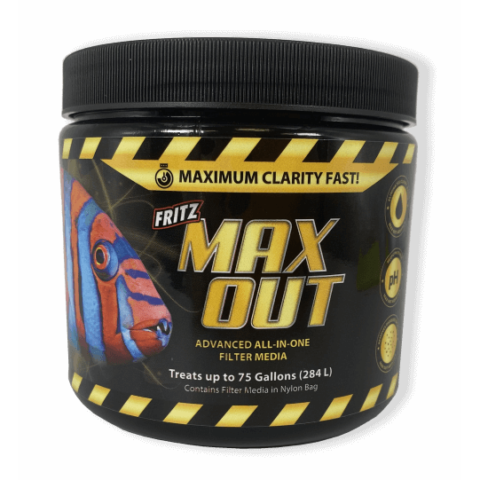 Fritz Max Out