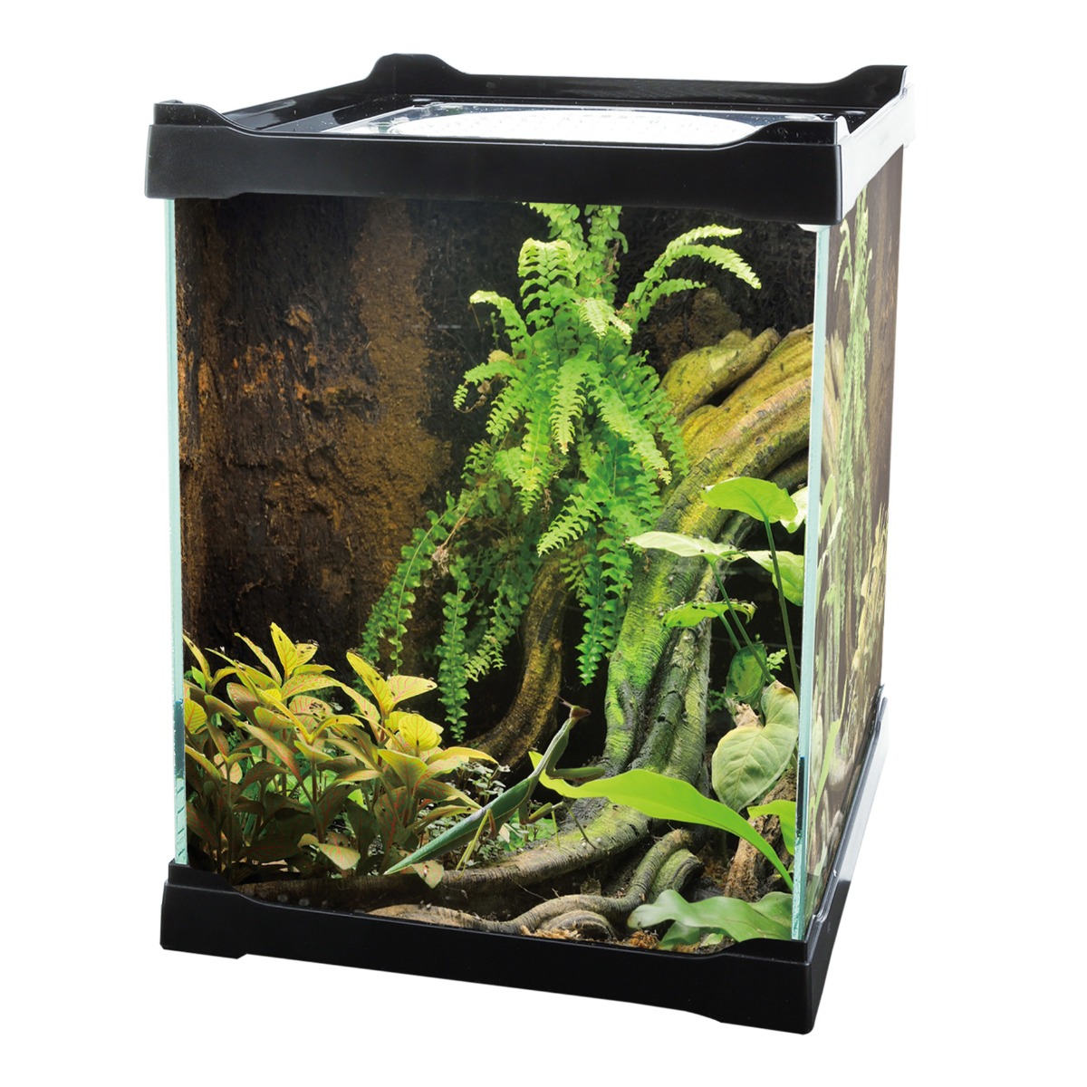 Betta Terra Mini Terrarium - 16 x 16 x 30cm 7L