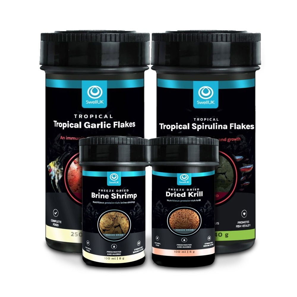 Swell Fish Food Bundle