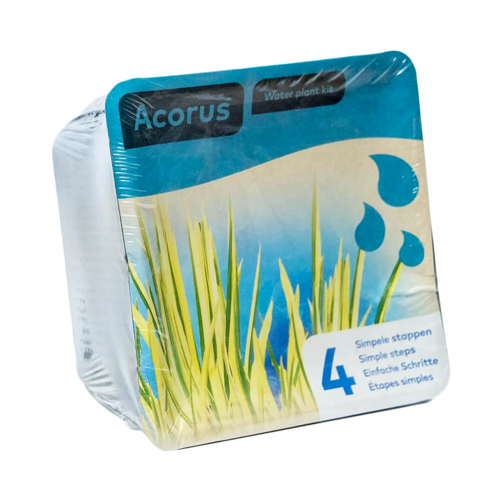 Moerings Complete Kit for Acorus
