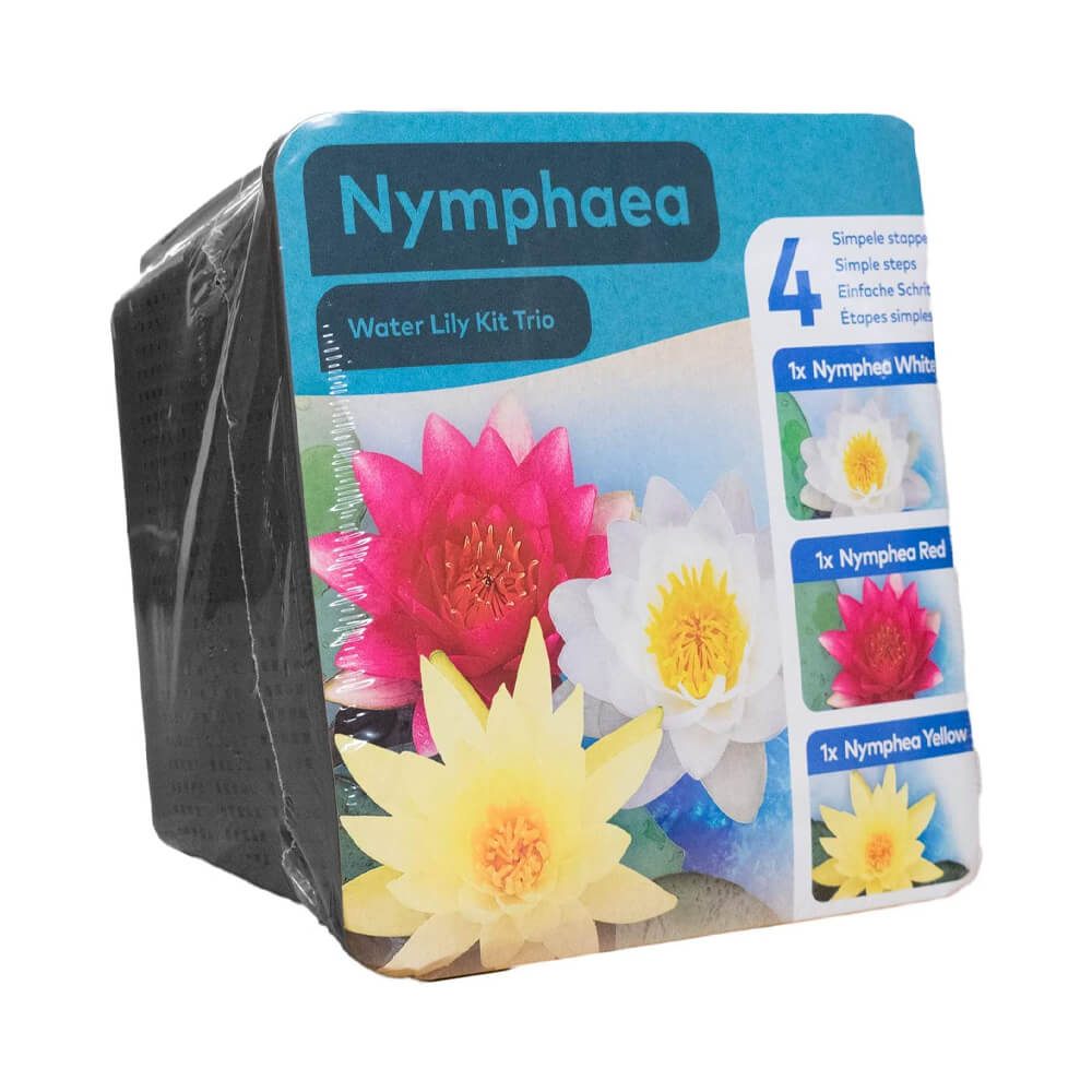 Moerings Complete Kit for Lilies