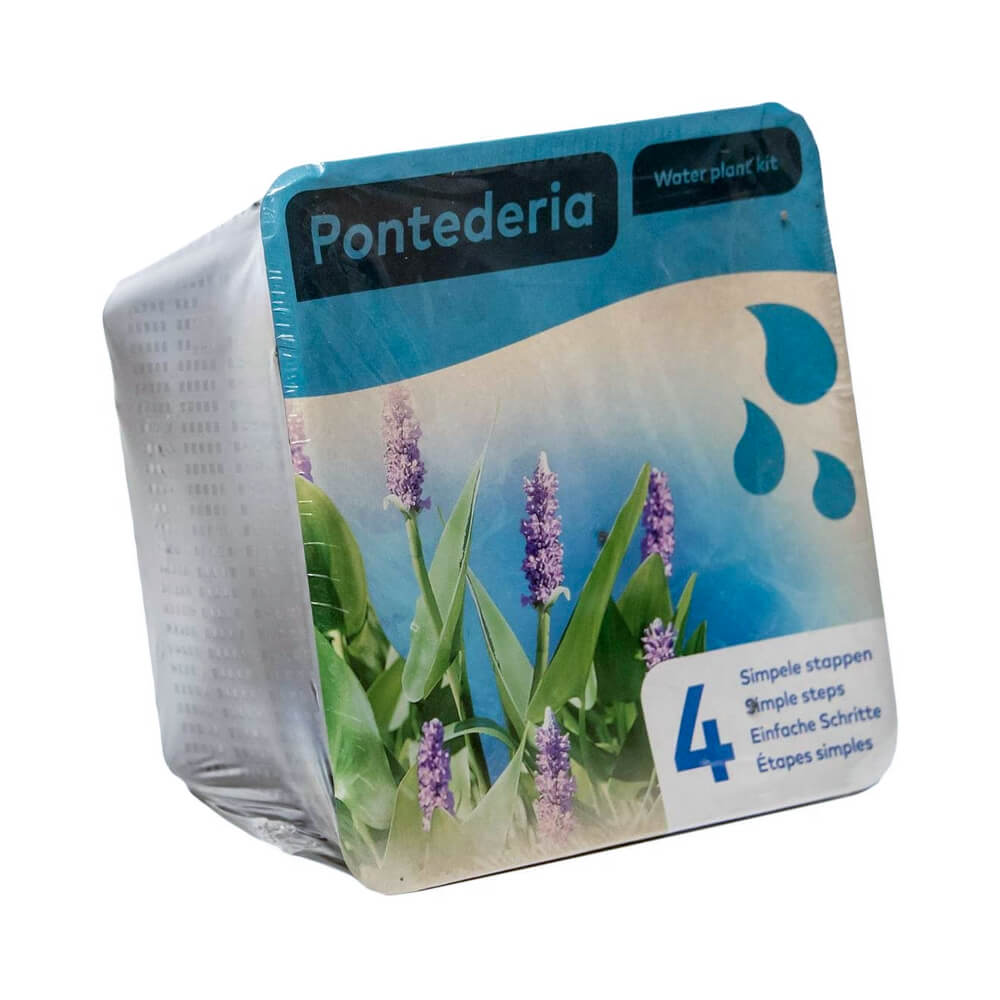 Moerings Complete Kit for Pontederia