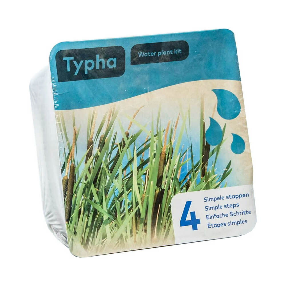 Moerings Complete Kit for Typha