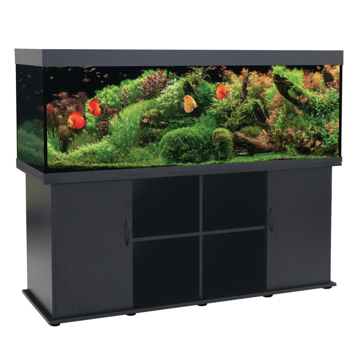 Swell Nile 180cm Aquarium 700L