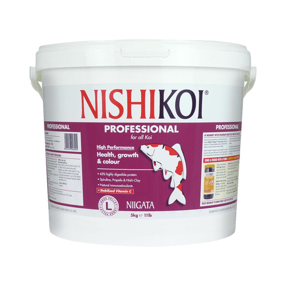 Nishikoi Niigata Professional
