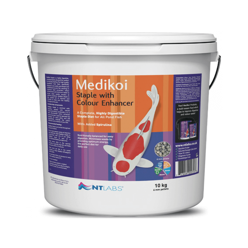 NT Labs Medikoi Staple With Colour Enhancer