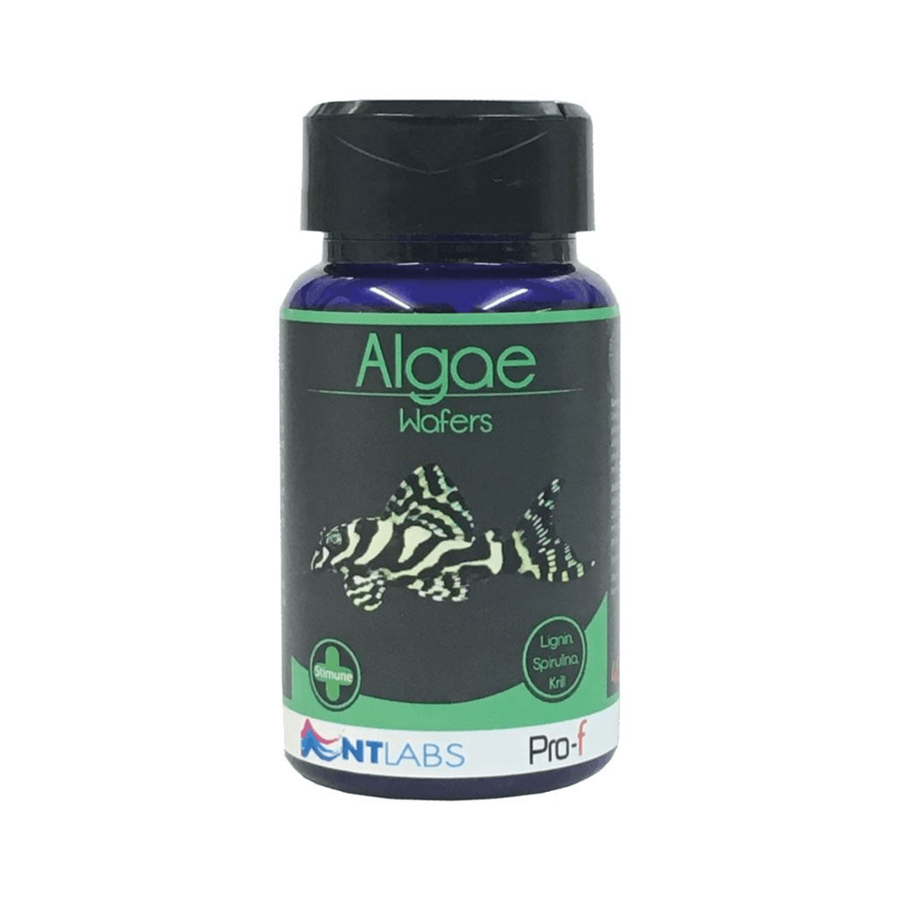 NT Labs Pro-f Algae Wafers