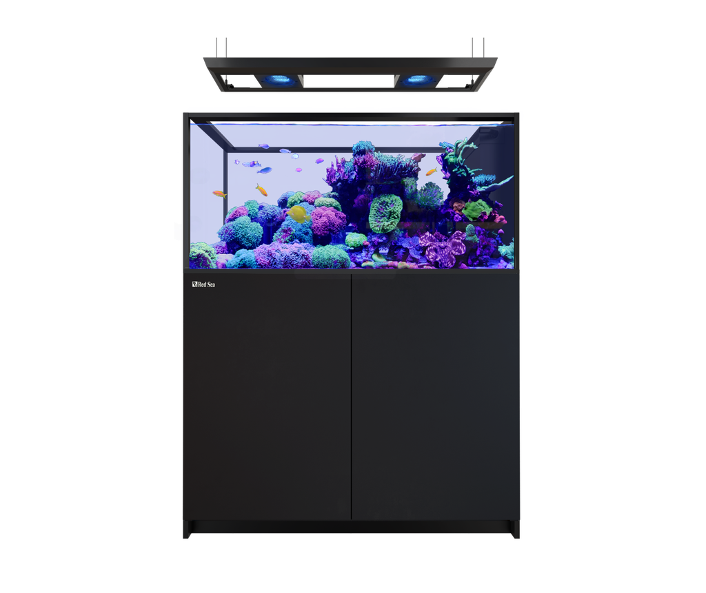 Red Sea Reefer Max Peninsula 500 G3 125cm Aquarium & Black Cabinet - 519L